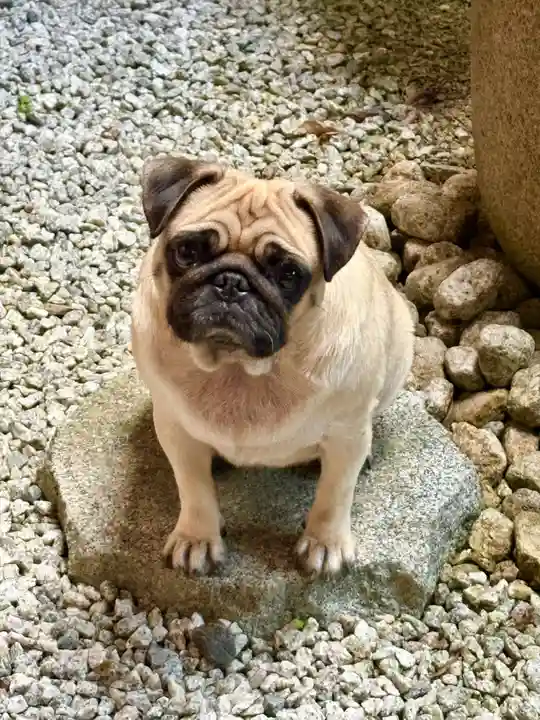 本昌寺(大阪府)