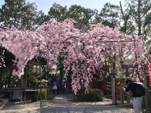 水火天満宮の{uncategorized: "未分類", other: "その他", undefined: "問題あり", building: "その他建物", grave: "お墓", sacred_gate: "鳥居", guardian: "狛犬", statue: "像", buddha: "仏像", history: "歴史", nature: "自然", garden: "庭園", animal: "動物", pagoda: "塔", temizu: "手水舎", mountain_gate: "山門・神門", sanctuary: "本殿・本堂", subordinate: "末社・摂社", art: "芸術", scenery: "景色", jizo: "地蔵", ema: "絵馬", goshuin: "御朱印", omikuji: "おみくじ", items: "授与品その他", amulet: "お守り", goshuincho: "御朱印帳", eats: "食事", festival: "お祭り", votive_dance: "神楽", shichigosan: "七五三参", wedding: "結婚式", experience: "体験その他", initially: "初詣", around: "周辺", anti_infection: "感染症対策"}