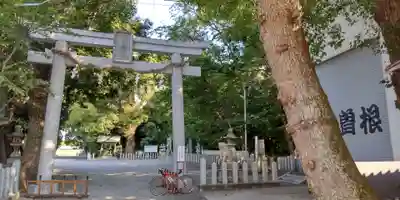 曽禰神社(大阪府)