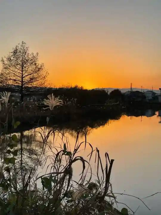 鞆江神社(明地)(愛知県)