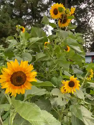 雷電神社(栃木県)