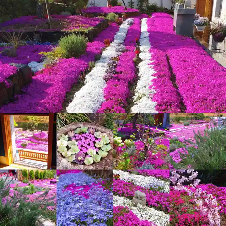 寿量山 速成寺(奈良県)