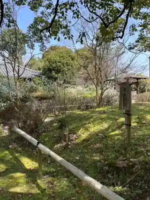 海龍王寺の自然