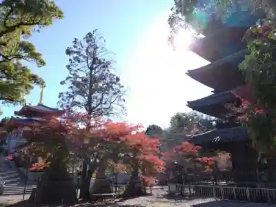 八事山 興正寺(愛知県)
