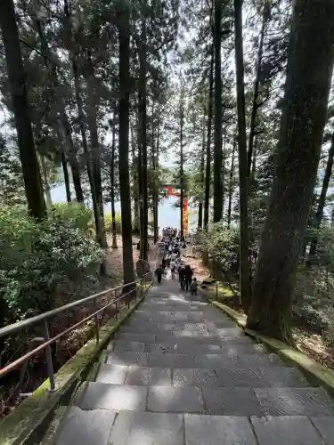 箱根神社の{uncategorized: "未分類", other: "その他", undefined: "問題あり", building: "その他建物", grave: "お墓", sacred_gate: "鳥居", guardian: "狛犬", statue: "像", buddha: "仏像", history: "歴史", nature: "自然", garden: "庭園", animal: "動物", pagoda: "塔", temizu: "手水舎", mountain_gate: "山門・神門", sanctuary: "本殿・本堂", subordinate: "末社・摂社", art: "芸術", scenery: "景色", jizo: "地蔵", ema: "絵馬", goshuin: "御朱印", omikuji: "おみくじ", items: "授与品その他", amulet: "お守り", goshuincho: "御朱印帳", eats: "食事", festival: "お祭り", votive_dance: "神楽", shichigosan: "七五三参", wedding: "結婚式", experience: "体験その他", initially: "初詣", around: "周辺", anti_infection: "感染症対策"}
