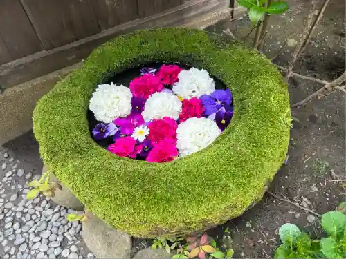 菅生神社(愛知県)