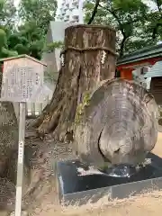 生田神社の自然