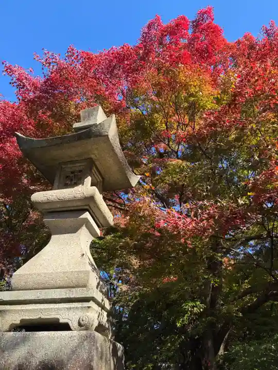 柳谷観音 楊谷寺(京都府)