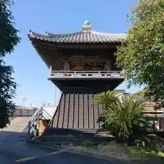 本国寺の建物その他