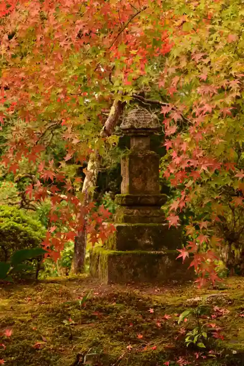 安楽寺(京都府)