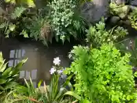 成田山七島不動尊の{uncategorized: "未分類", other: "その他", undefined: "問題あり", building: "その他建物", grave: "お墓", sacred_gate: "鳥居", guardian: "狛犬", statue: "像", buddha: "仏像", history: "歴史", nature: "自然", garden: "庭園", animal: "動物", pagoda: "塔", temizu: "手水舎", mountain_gate: "山門・神門", sanctuary: "本殿・本堂", subordinate: "末社・摂社", art: "芸術", scenery: "景色", jizo: "地蔵", ema: "絵馬", goshuin: "御朱印", omikuji: "おみくじ", items: "授与品その他", amulet: "お守り", goshuincho: "御朱印帳", eats: "食事", festival: "お祭り", votive_dance: "神楽", shichigosan: "七五三参", wedding: "結婚式", experience: "体験その他", initially: "初詣", around: "周辺", anti_infection: "感染症対策"}