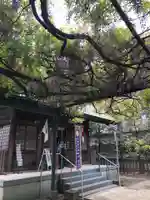 國領神社の本殿・本堂