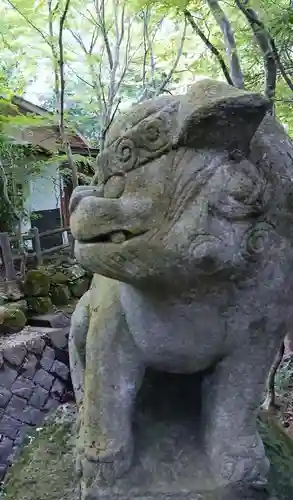 五所駒瀧神社の狛犬