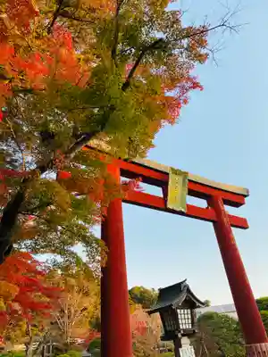 志波彦神社・鹽竈神社の鳥居