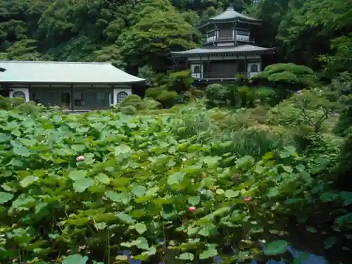 光明寺の庭園