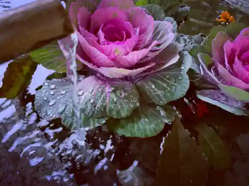 滑川神社 - 仕事と子どもの守り神の手水舎