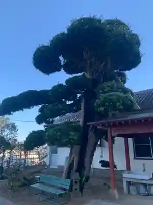 文殊院(千葉県)