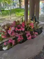 彌彦神社 (伊夜日子神社)の手水舎