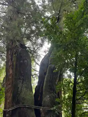 高岡神社(岡山県)