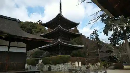 園城寺（三井寺）(滋賀県)