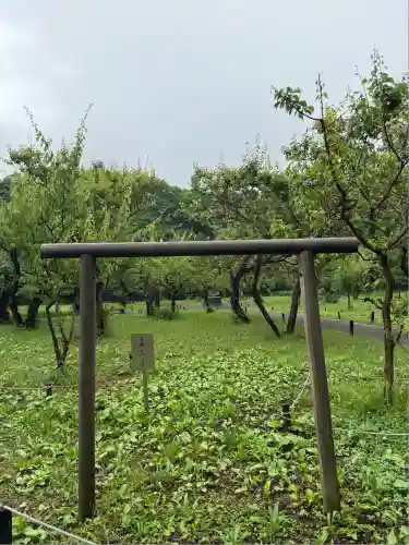 北海道神宮の庭園