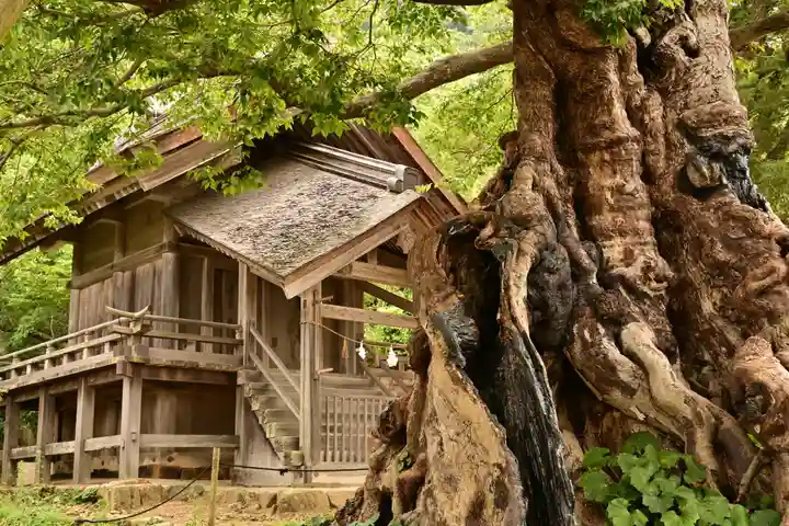 神魂伊能知奴志神社(島根県)