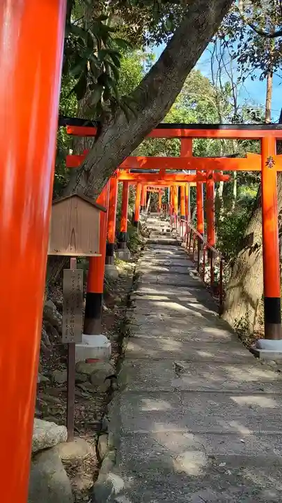 賀茂別雷神社(上賀茂神社)の鳥居