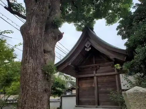 鷺宮八幡神社（保久良神社末社・お旅所）の本殿・本堂