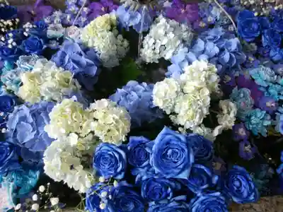 札幌諏訪神社の手水舎