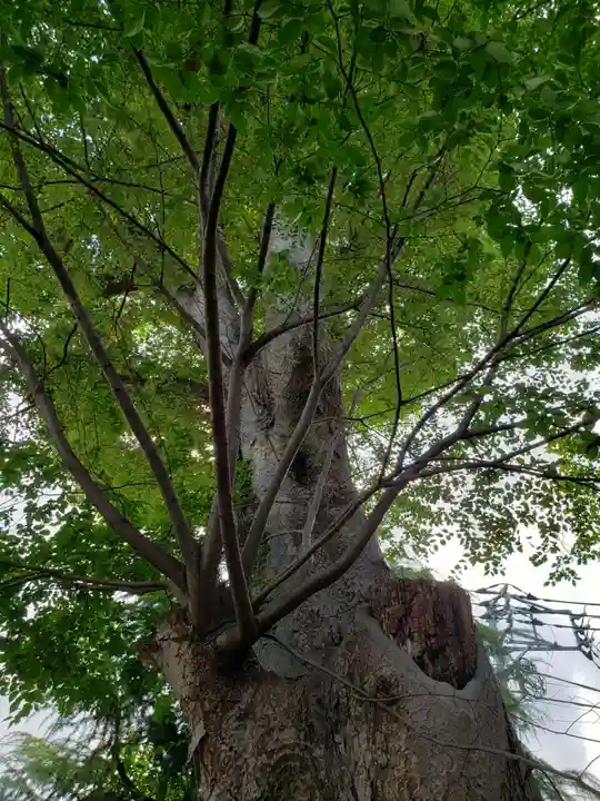 阿佐谷弁天社(東京都)