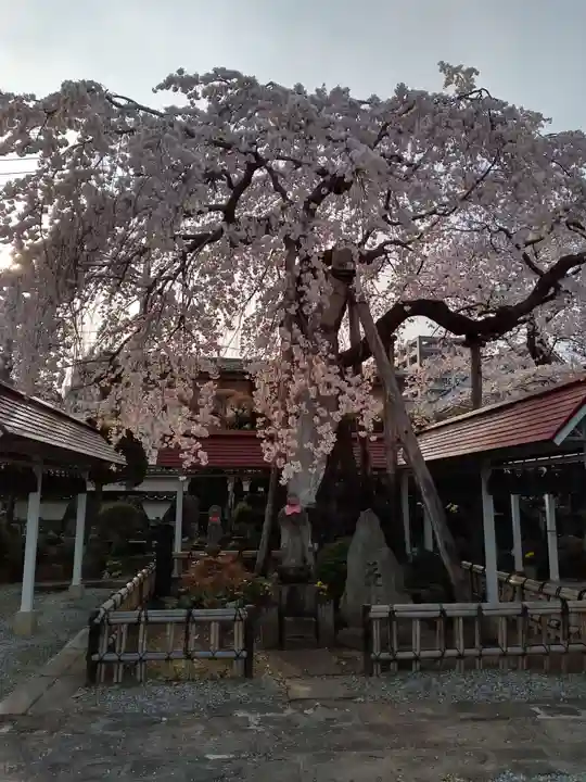洞林寺(宮城県)