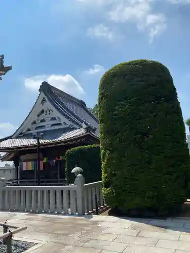 善応寺の本殿・本堂