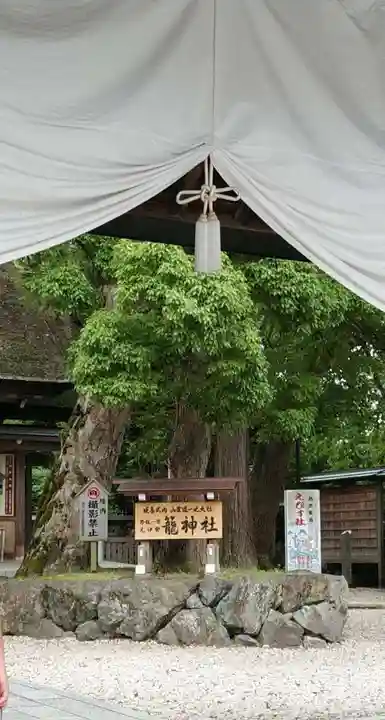 丹後一ノ宮 元伊勢 籠神社(京都府)