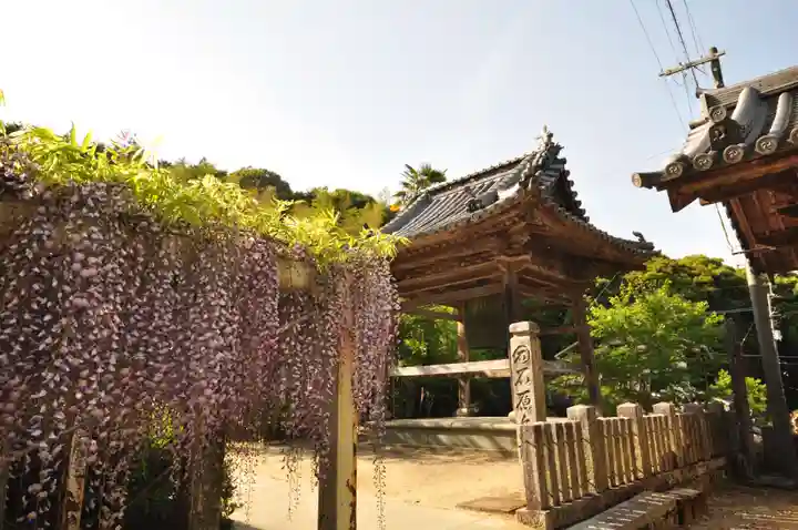 藤井寺(徳島県)