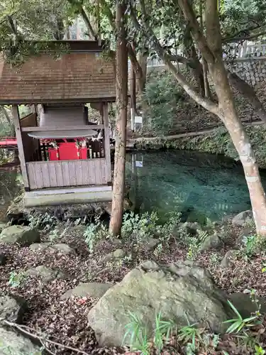 泉神社(茨城県)