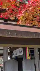 新熊野神社(京都府)