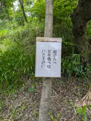 金生山 明星輪寺(岐阜県)