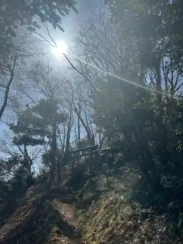 龍籠山金比羅宮(神奈川県)