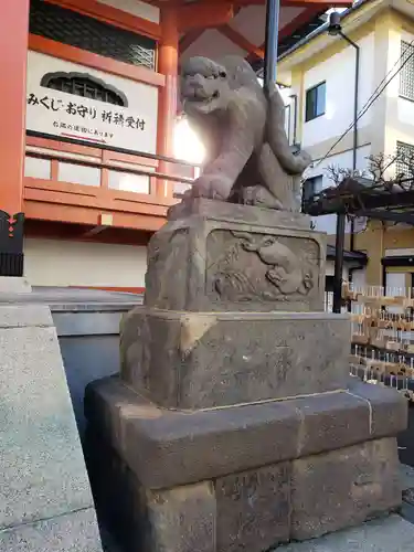 善國寺の狛犬