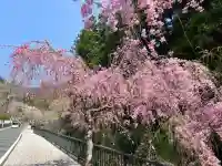 樋沢坊(山梨県)