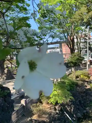 瀧宮神社(埼玉県)