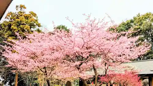 飯綱神社の自然