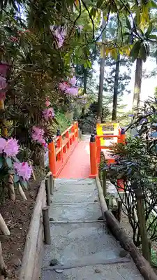 岡寺(龍蓋寺)(奈良県)