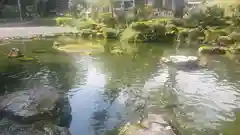 大虫神社の庭園