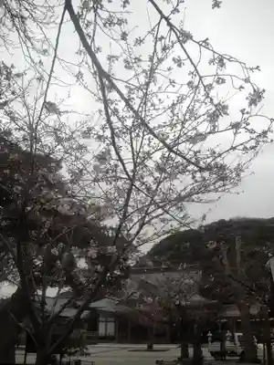 光明寺のその他建物