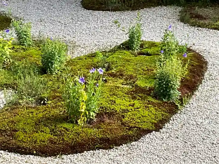 廬山寺(廬山天台講寺)(京都府)