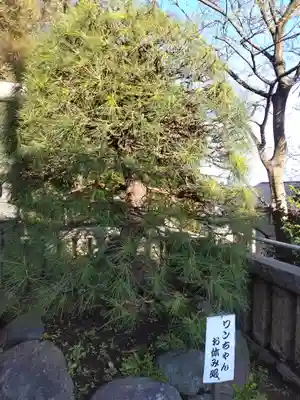 本牧神社(神奈川県)