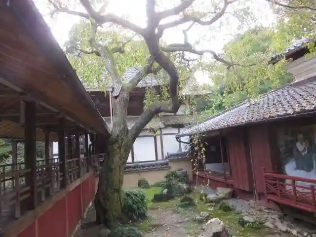 十輪寺(京都府)