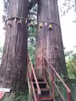 日枝神社の自然