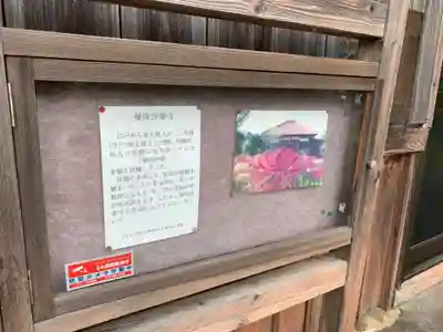 浄宗寺のその他建物